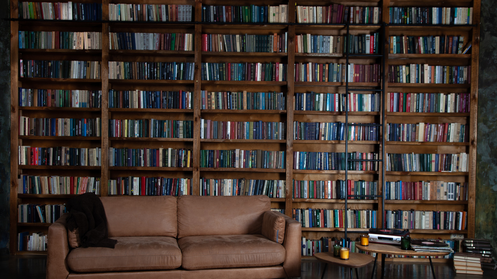 Полки с книгами диван комната живопись