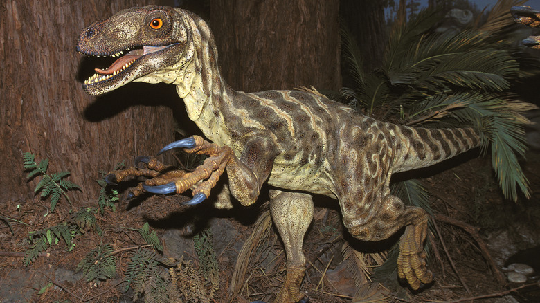 Deinonychus orange eyes