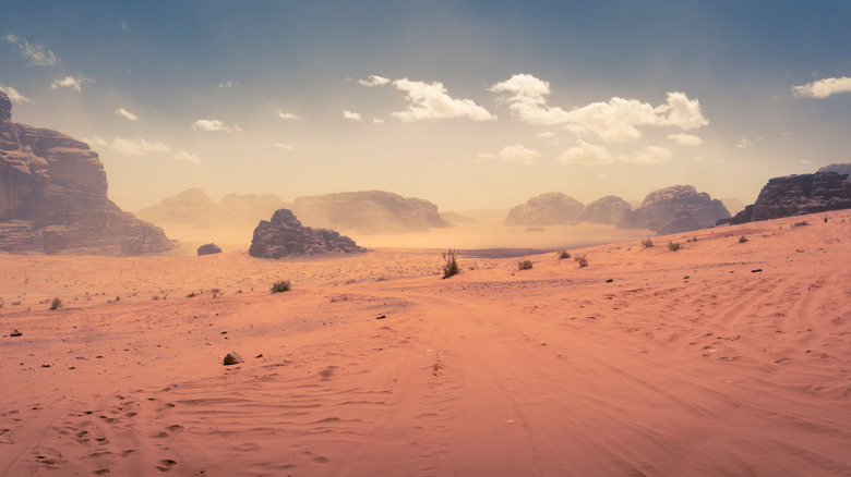 Wadi desert in Jordan