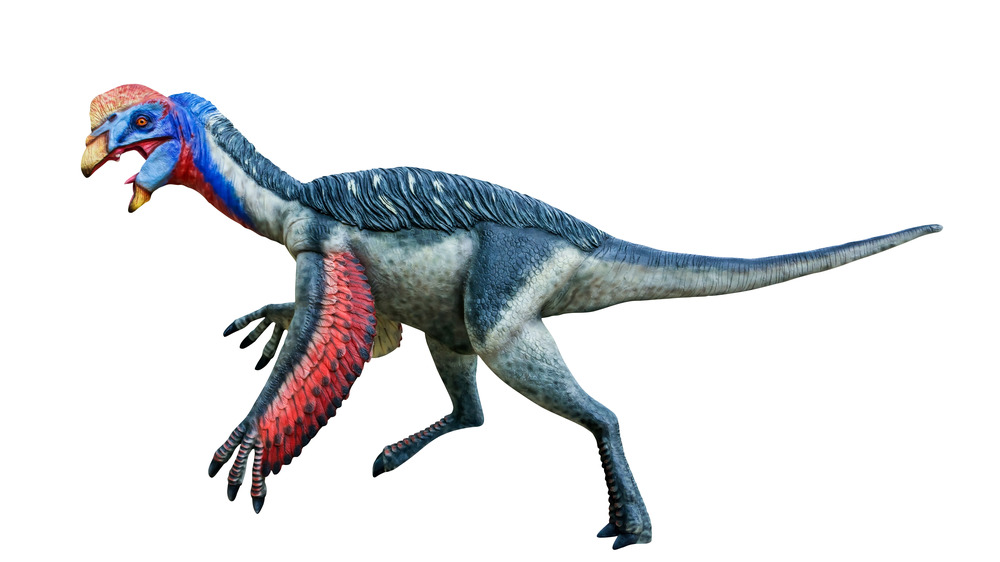 Oviraptor