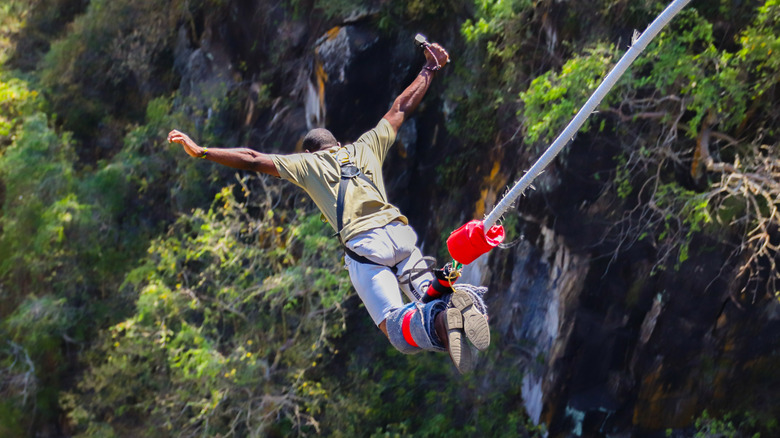 bungee jumping at Zambezi River, Victoria Falls