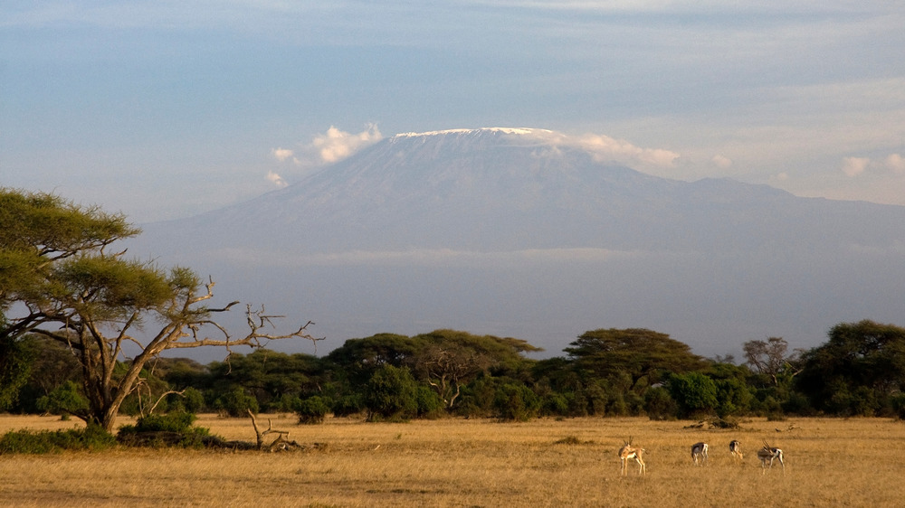 Mount Kilamanjaro