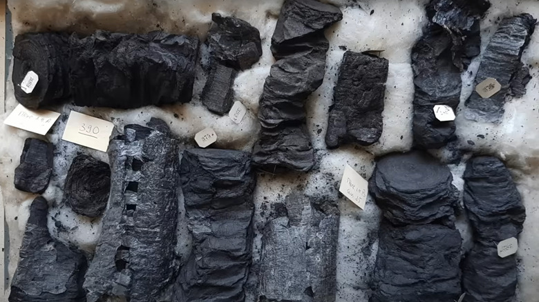 Burned Herculaneum scrolls