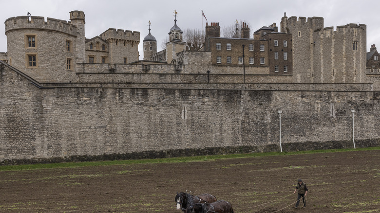 Tower of London and surrounding grounds