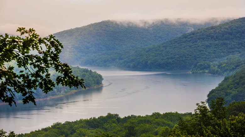 Mist over Allegheny River