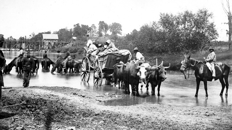 Black refugees after Civil War