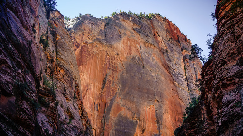 Zion National Park