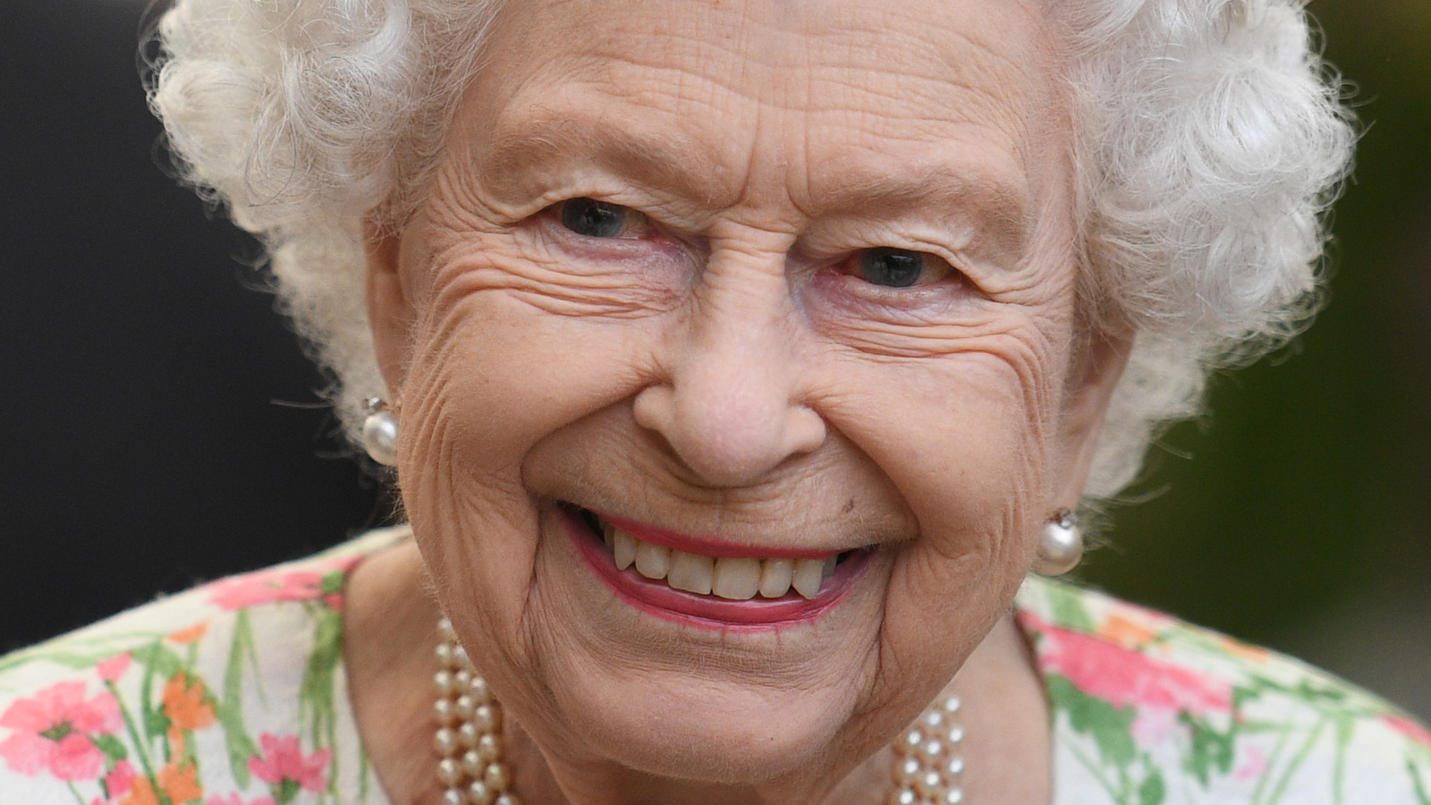 The Furry Friends At The Queen's Funeral That Set Off A Wave Of Emotions