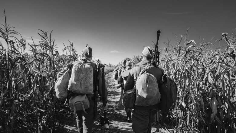 reenactors soviet troops cornfield