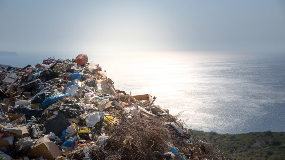 great pacific garbage patch plastic trash