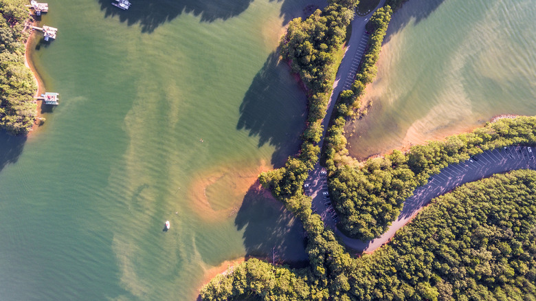 aerial view of lake lanier