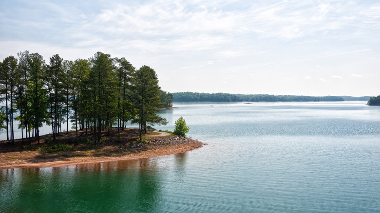 Lake lanier