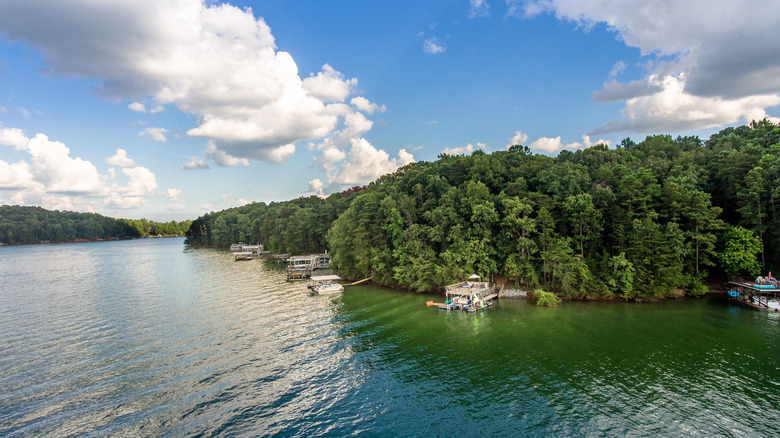 Lake lanier