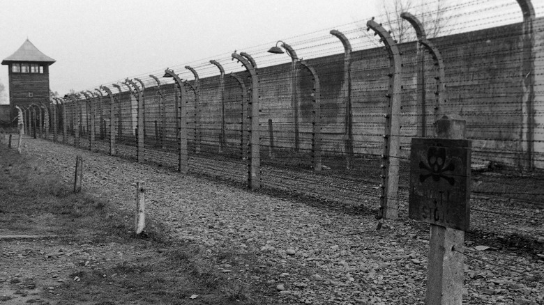 electric fence, Auschwitz