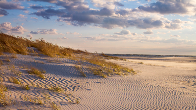 Far Rockaway beach