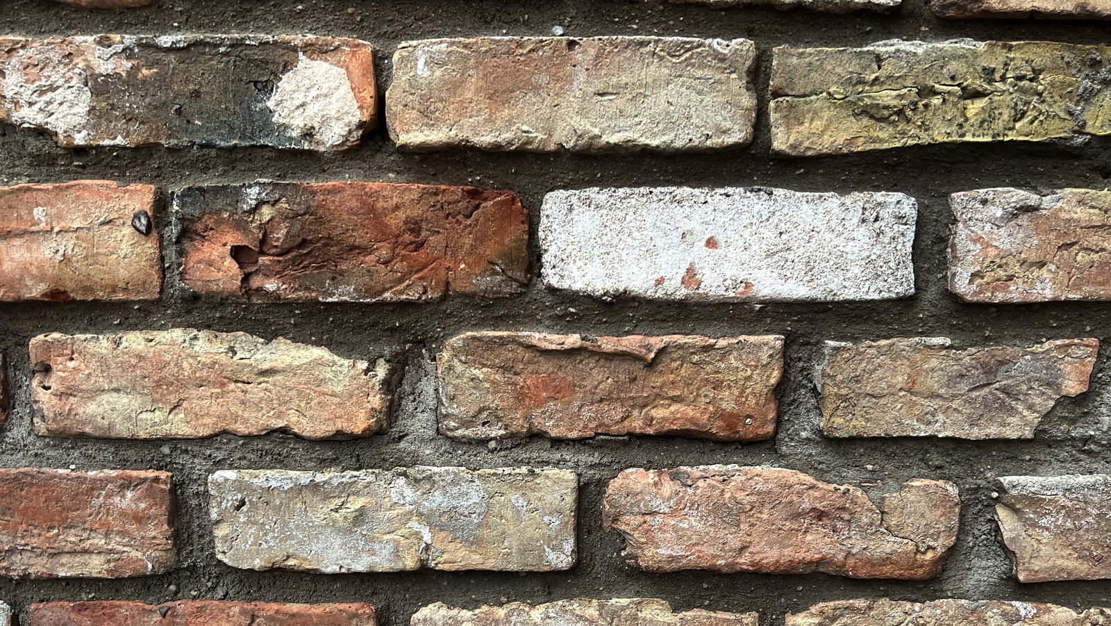 The Gruesome Ingredient A British Architect Is Recycling In Bricks