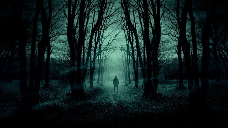 Man standing alone in woods