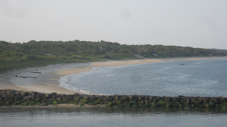 View of Higbee Beach