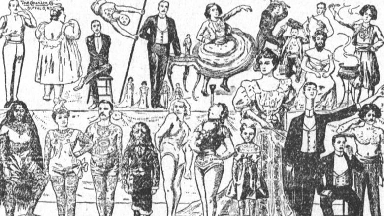 Excerpt from 'freak show' pamphlet 1903