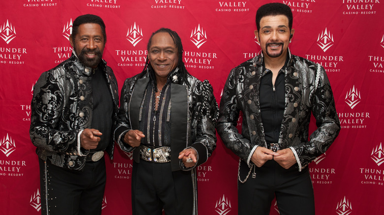 the commodores