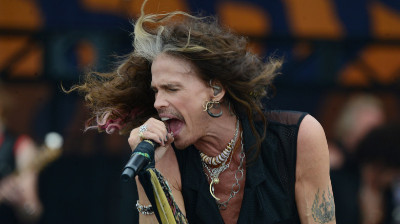 Steven Tyler singing on stage