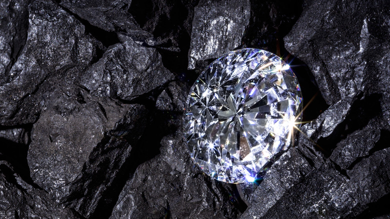 Diamond resting on coal 