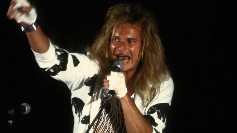 david lee roth sweating and singing onstage in the 1980s