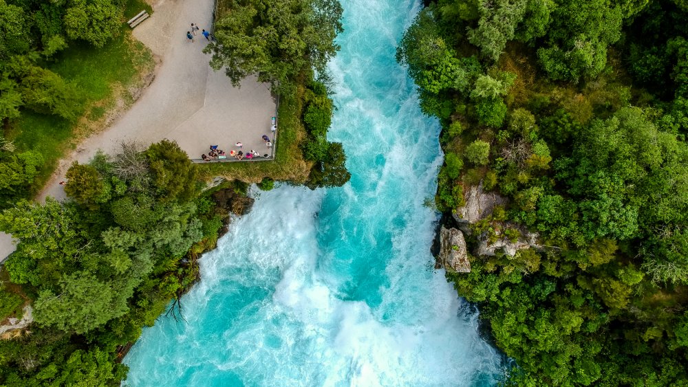 lake taupo