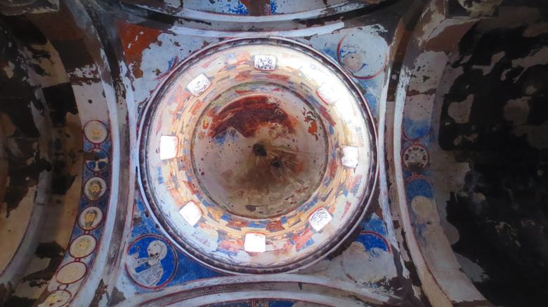 Ani Fresco