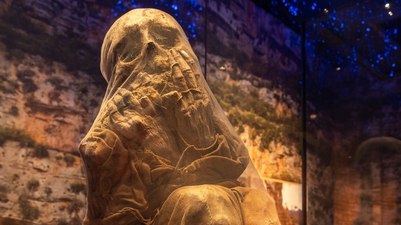 An Andean mummy