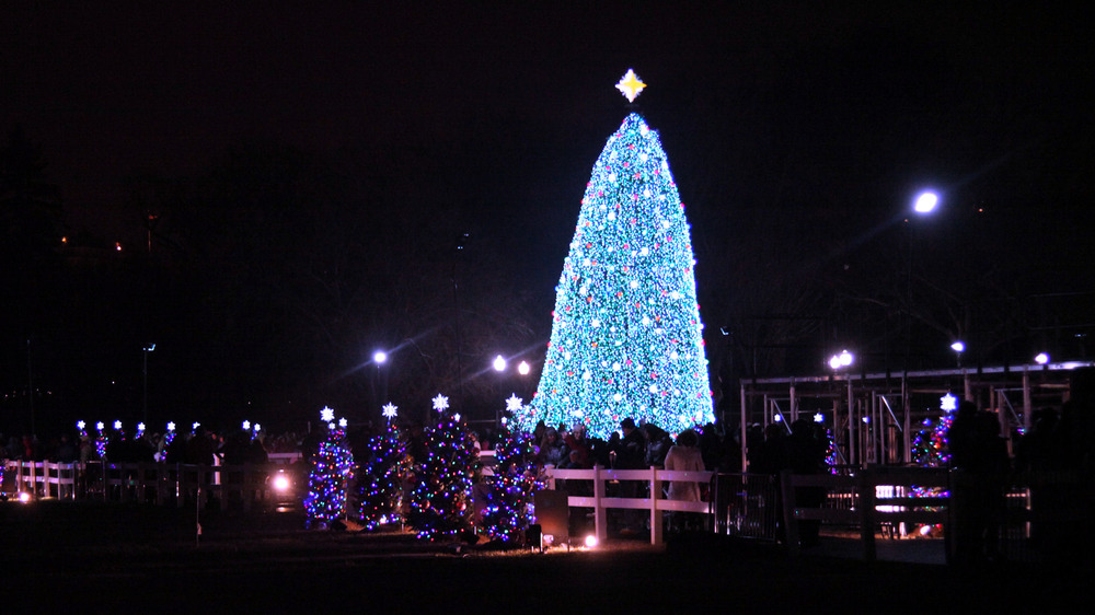 national christmas tree 2010