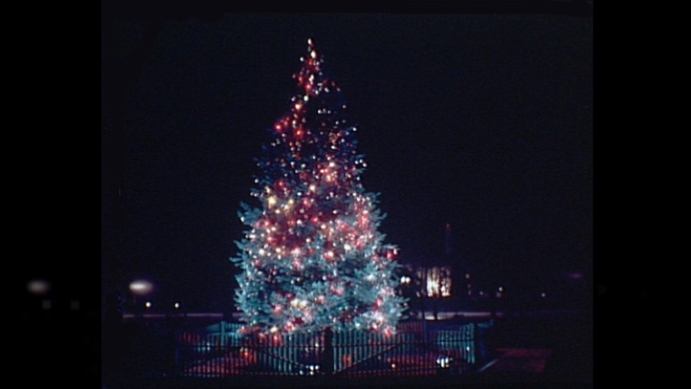 national christmas tree in lafayette park