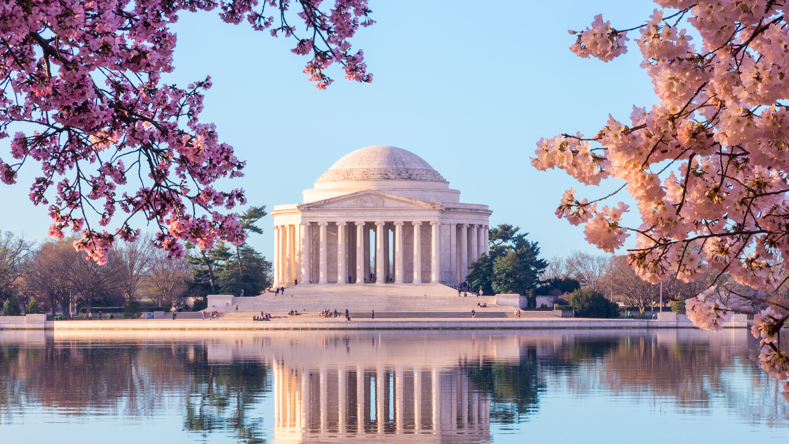 Washington Nationals Honor City's Iconic Cherry Blossoms With City