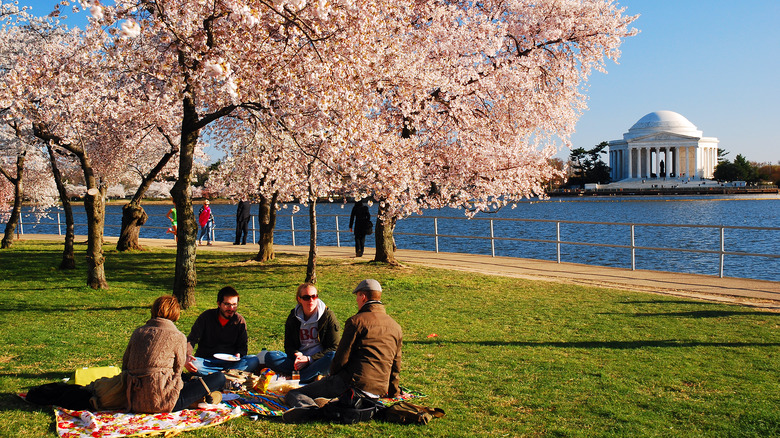 people having a picnic