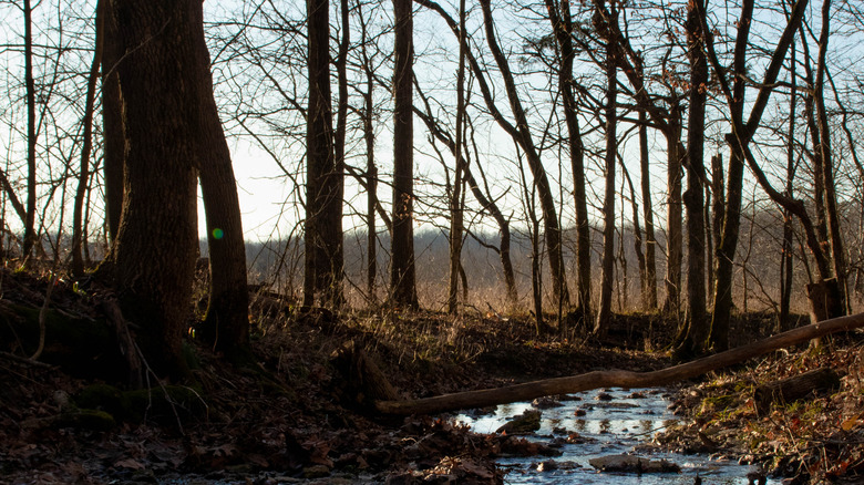 Pope Lick Park, Louisville Kentucky