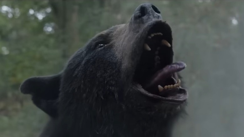 Cociane Bear from the 2022 Cocaine Bear trailer