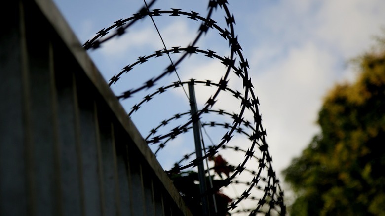 Concertina wire on a fence