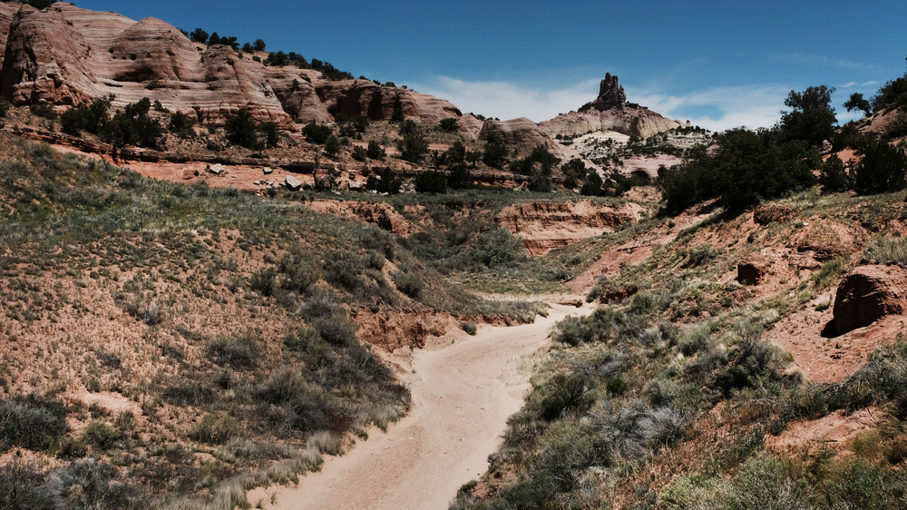 trail in Gallup, New Mexico under blue skey