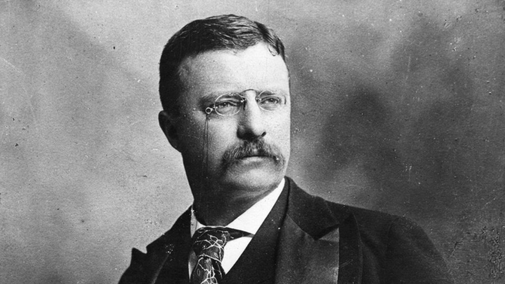 Theodore Roosevelt