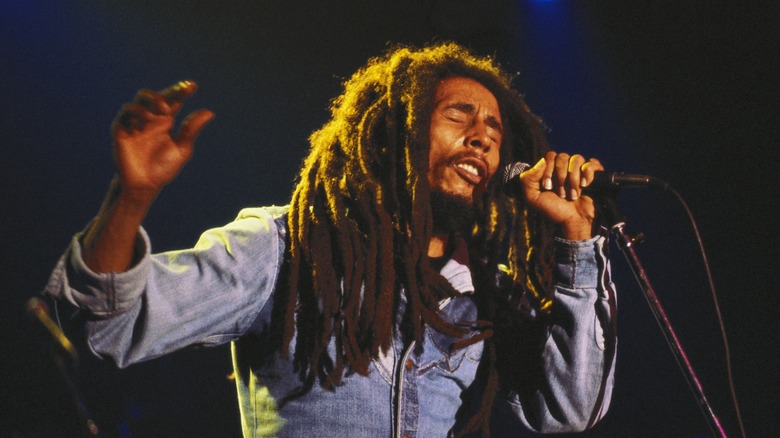 The Inspiration Behind Bob Marley's Three Little Birds Isn't Totally Clear