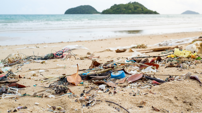 Plastic and litter on a beach 