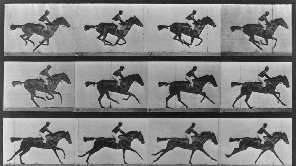 Muybridge photos of horse's stride