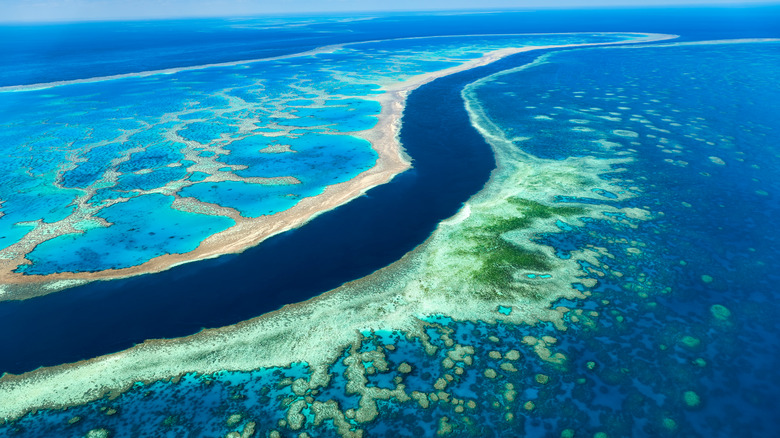 The Great Barrier Reef