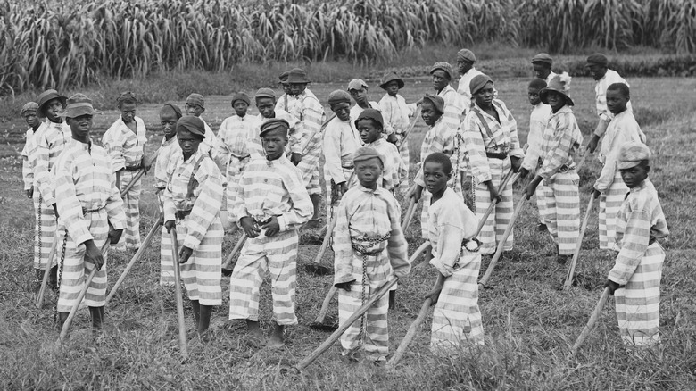 Convict leasing