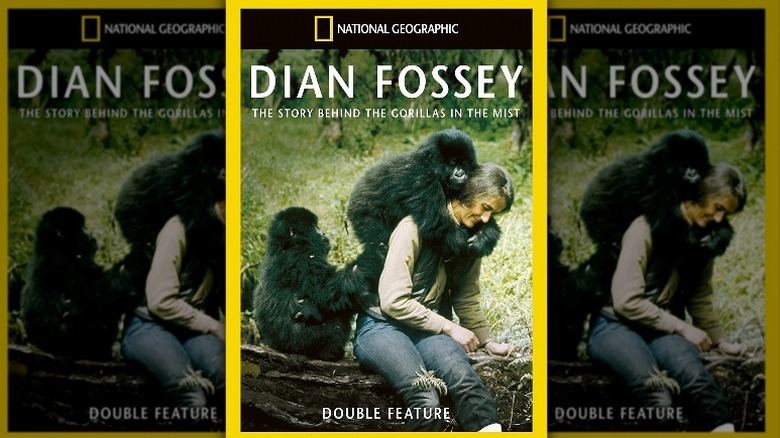 Dian Fossey gorillas Nat Geo magazine cover