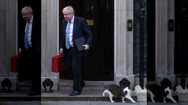 Boris Johnson and Larry the Cat exiting 10 Downing Street