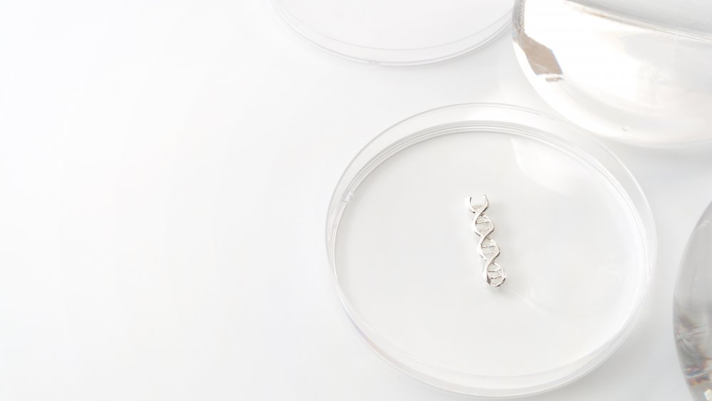 petri dish with metal double helix shape