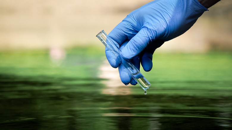 hand getting water sample