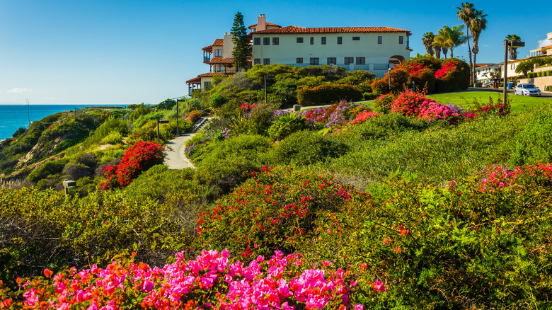 Calafia Park, California