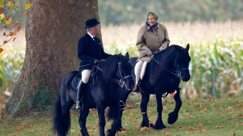 Queen, pendry riding black horses